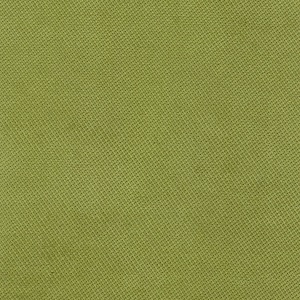 Verona 38 Apple Green